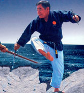 Shinpo Matayoshi portrait