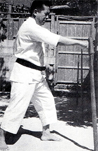 Seiko Higa Yuchoku Higa image